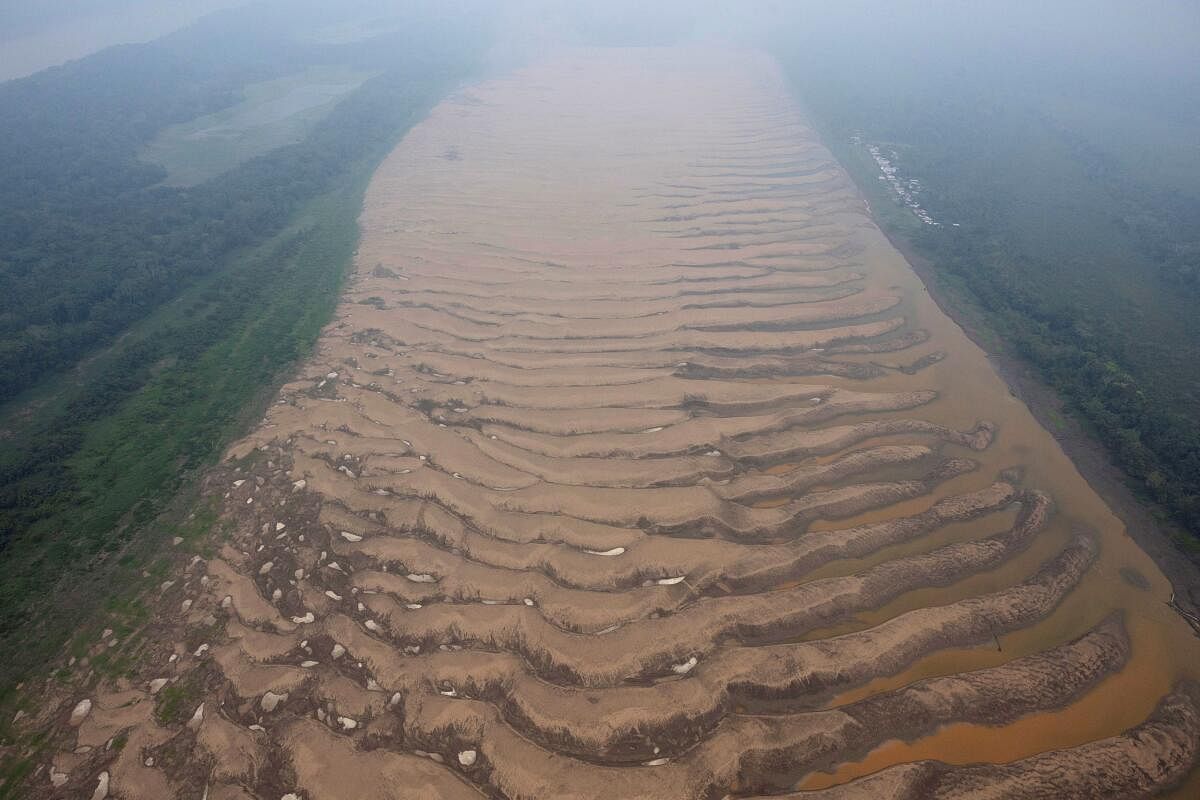 The Solimoes River, one of the largest tributaries of the Amazon River, is seen from an altitude of 330 meters during a Greenpeace flyover to inspect what the National Center for Monitoring and Early Warning of Natural Disasters (Cemaden) says is the most intense and widespread drought Brazil has experienced since records began in 1950, near Tefe, Amazonas state, Brazil September 17, 2024.