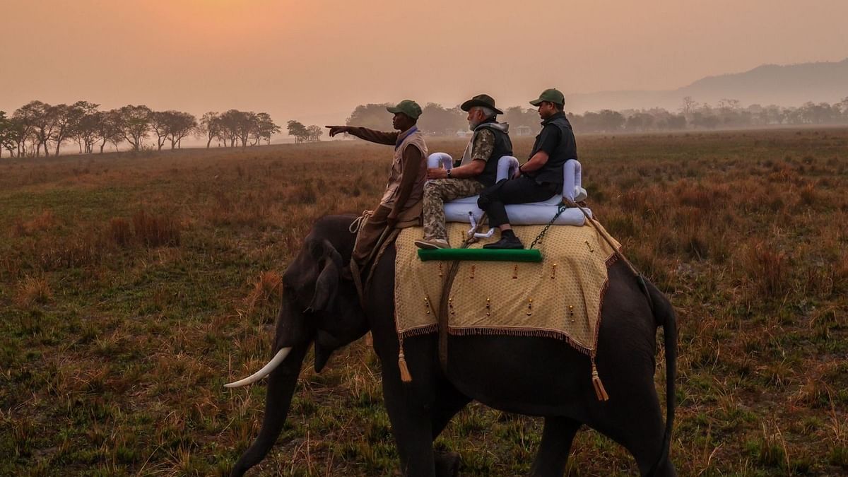 Reiterate our commitment to protect one of planet's most iconic species: PM Modi on World Rhino Day