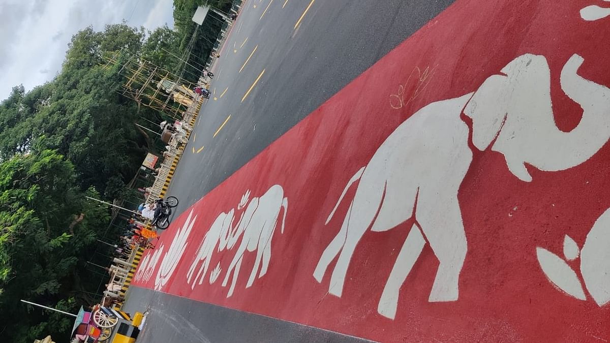 Artistic cold plastic painting of a pedestrian crossing, on Albert Victor Road, at Chamaraja Circle, in Mysuru.