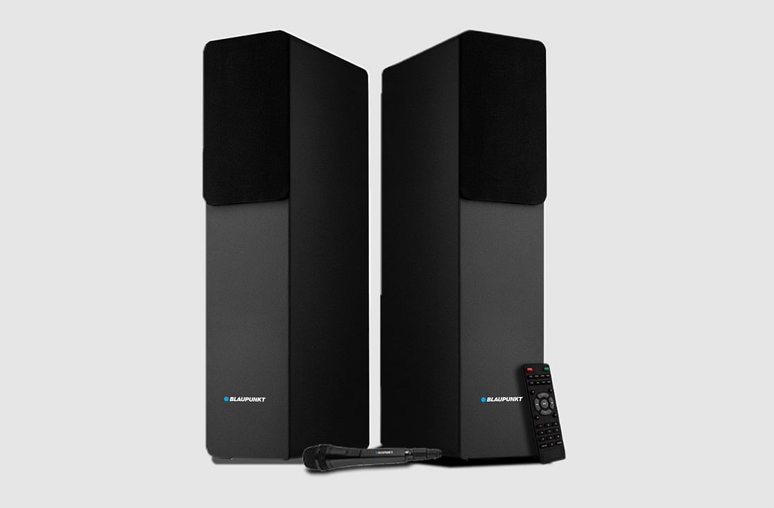 Blaupinkt TS120 BASS tower speaker.