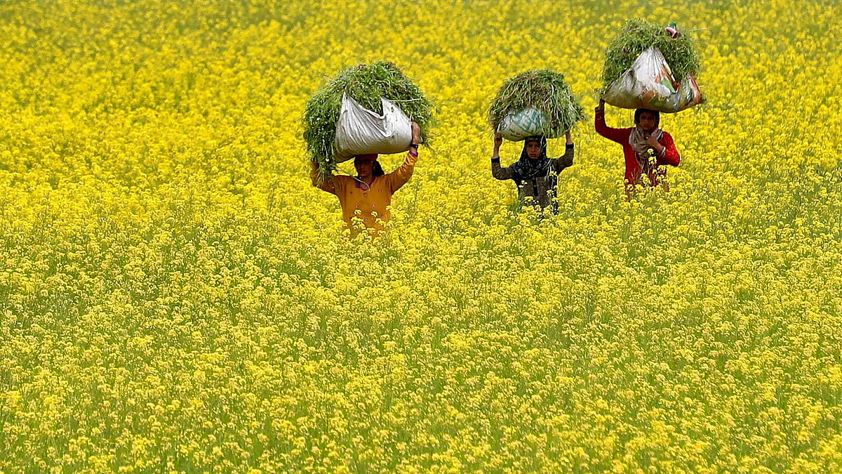 Beyond GM crops Course correction needed