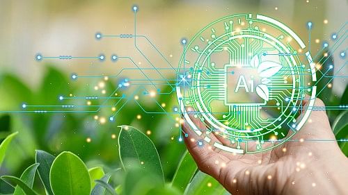 AI project promises better agri yield; concept tested in two farmer co-ops