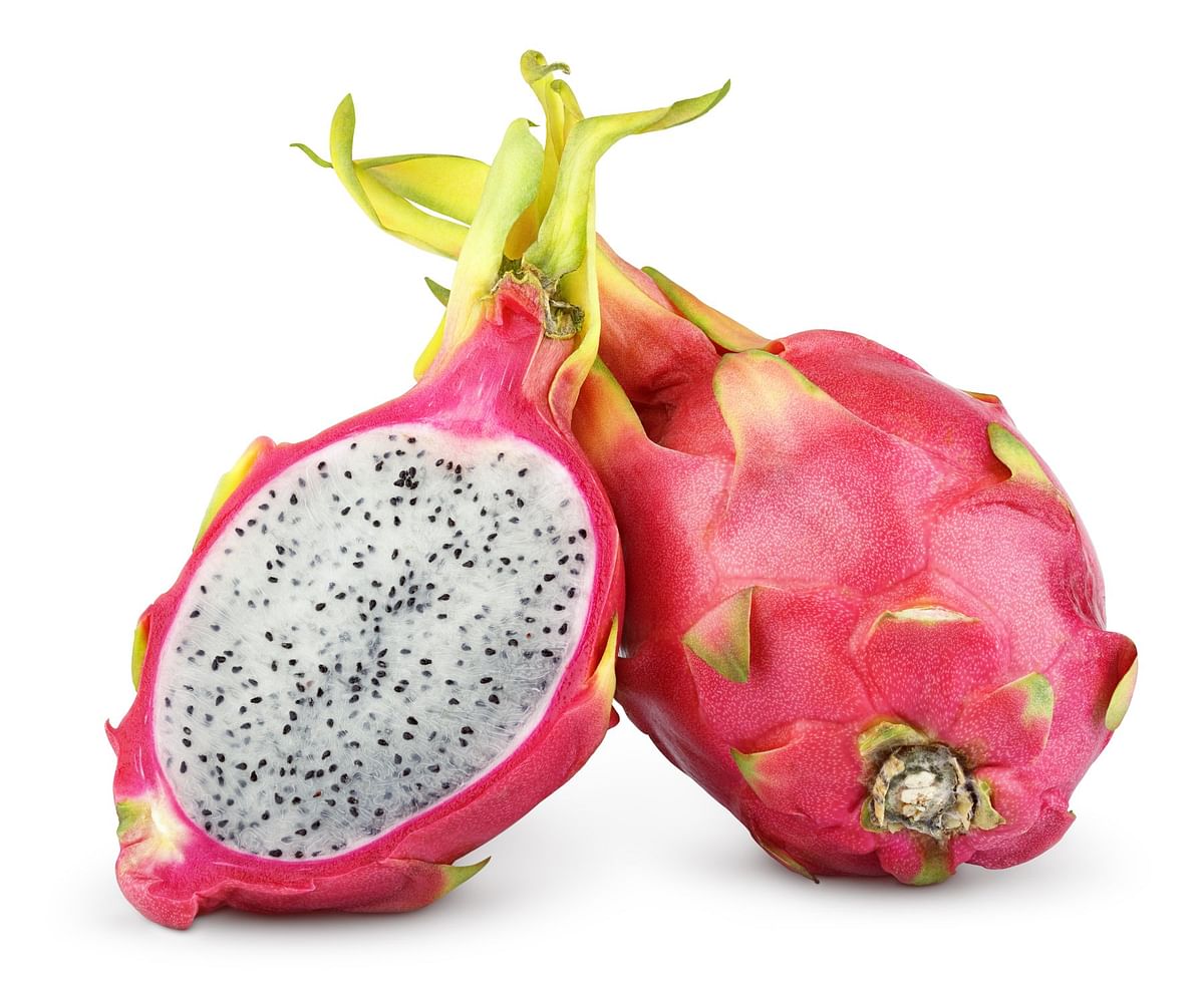 Dragon fruit