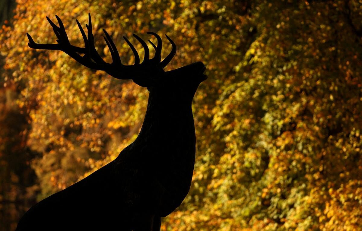 The statue of a deer is silhouetted against Autumnal foliage, in Pitlochry, Scotland.