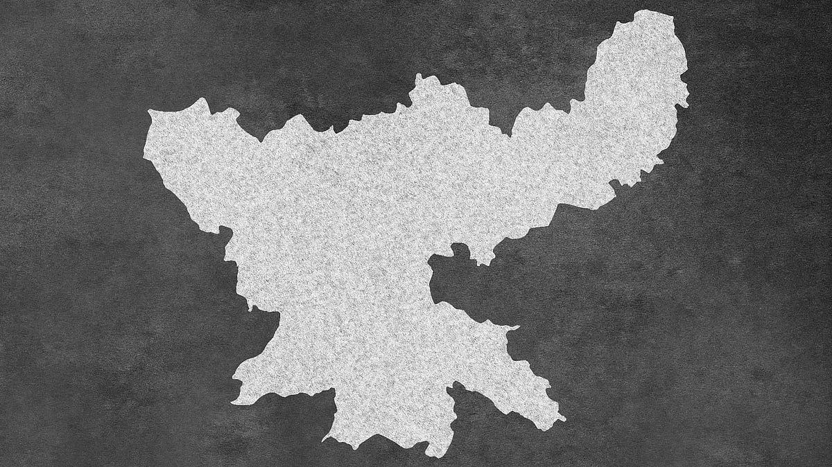 2025 Haryana Legislative Assembly Election Dix Vickie