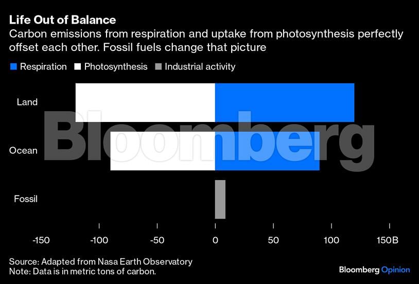 <div class="paragraphs"><p>Credit: Bloomberg</p></div>