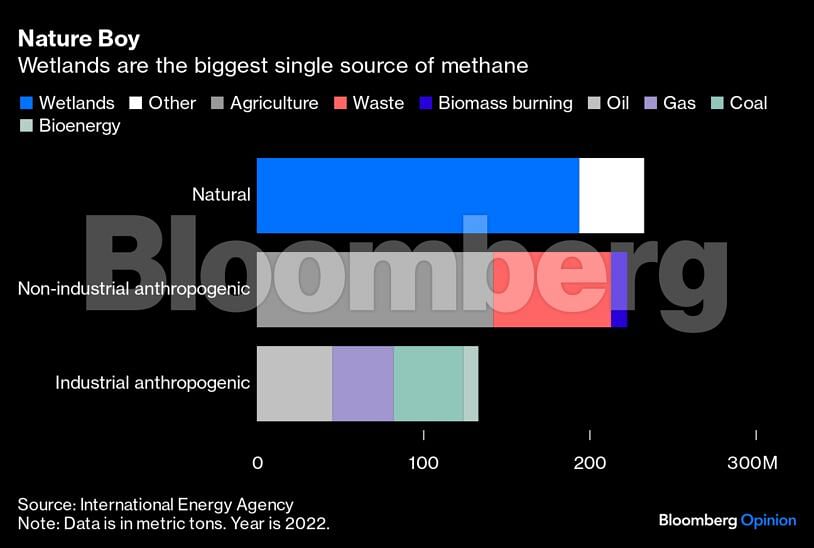 <div class="paragraphs"><p>Credit: Bloomberg</p></div>