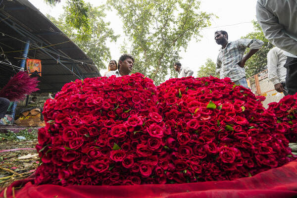 Roses being sold ahead of the Diwali festival, at a flower market in Delhi.