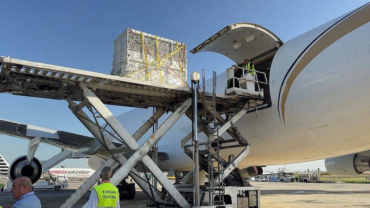 Elephants being brought to India via a chartered cargo plane.