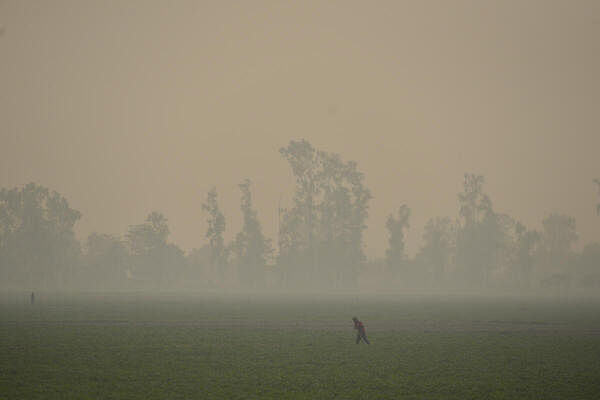 A farmer works in field amid smog, in Jalandhar.