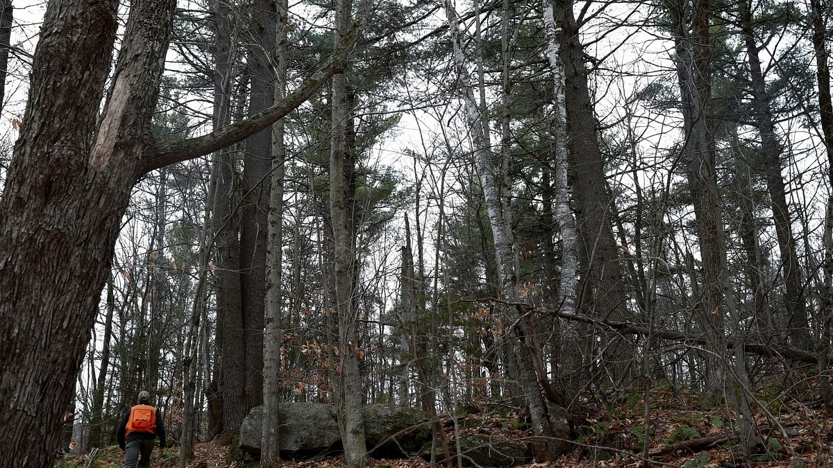 FILE PHOTO: Chris Pryor, director of forest stewardship at New England Forestry Foundation, walks through Hersey Mountain Wilderness in New Hampton, New Hampshire, U.S., December 4, 2020. NEFF worked with Finite Carbon to register carbon offset credits on the forestland with the California Air Resources Board in 2016. Picture taken December 4, 2020.  