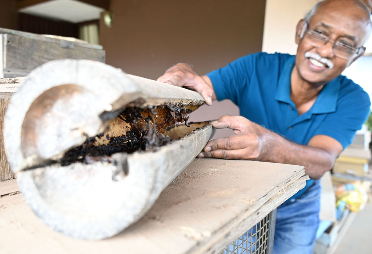 Alexander an apiarist with a hollowed bamboo beehive. DH Photo by B K Janardhan