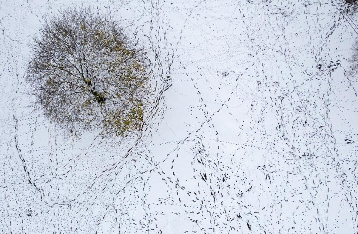 A drone view shows footprints in a snow covered field in the Pavilion Gardens in Buxton, Britain, November 19, 2024.