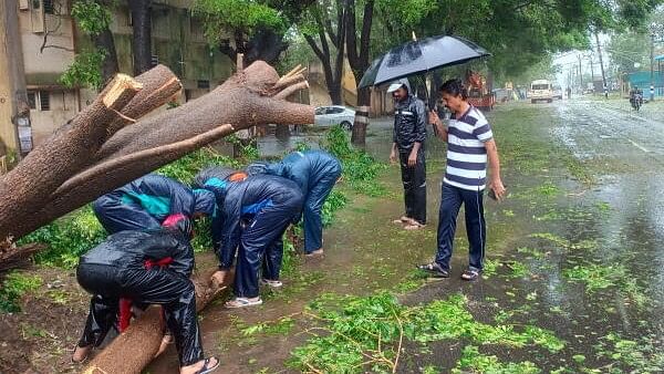 Cyclone Fengal Remains Stationery, Heavy Rains Continue To Lash ...