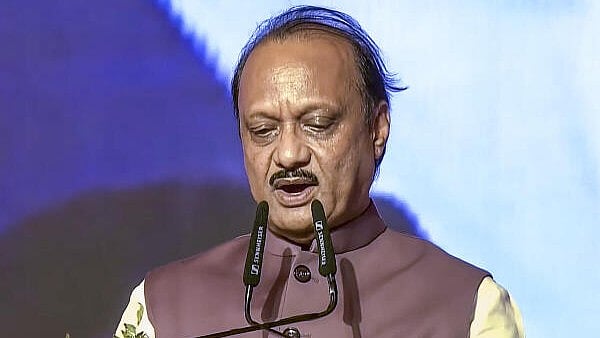 Maharashtra ministers react to portfolio allocation