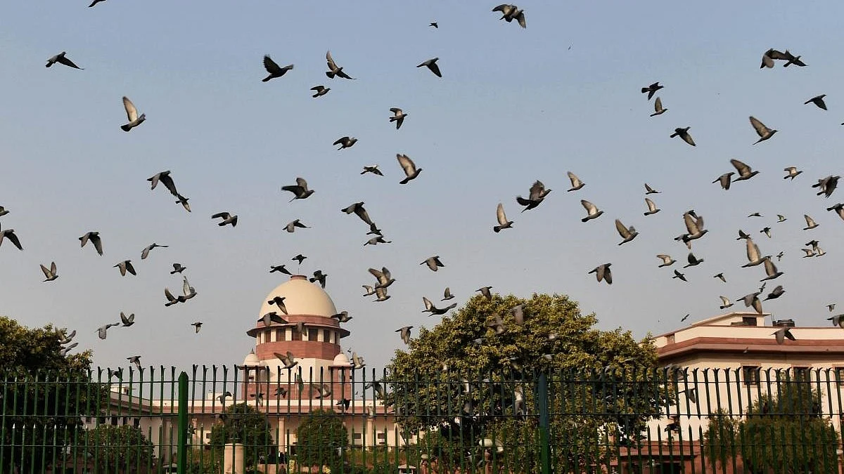 Right to visitation can't override child's interest, well being: Supreme Court 