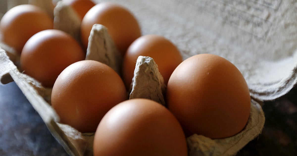 Pennsylvania thieves haul away precious loot: 1 00 000 eggs Pennsylvania thieves haul away precious loot: 1 00 000 eggs