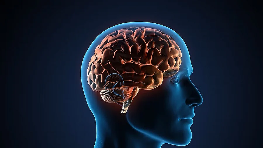 Explained | How brain can miraculously switch off pain