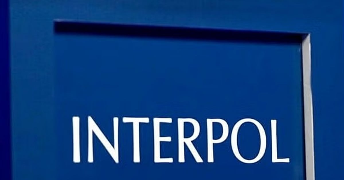 Interpol Colour Explained | Interpol's Silver Notice, other colour codes