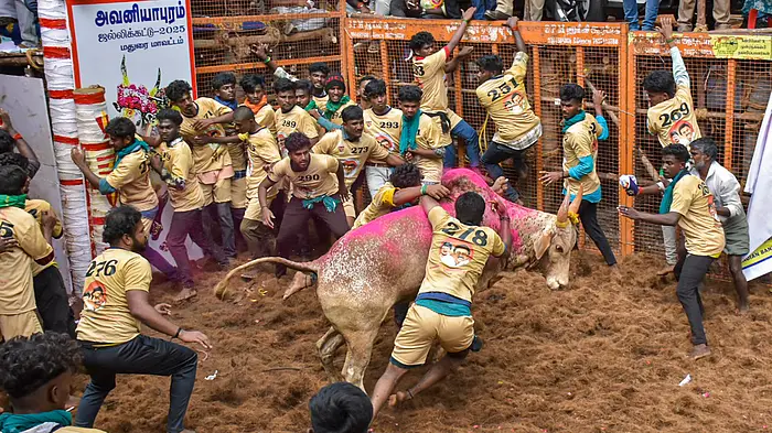El evento deportivo también tuvo su cuota de momentos angustiosos cuando un joven, Navin Kumar, fue corneado hasta la muerte por un toro y al menos otras 10 personas resultaron heridas.