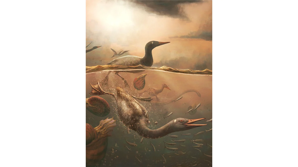 A skull solves ancient waterfowl puzzle