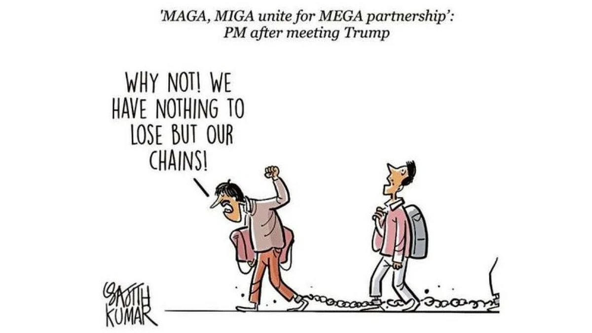 DH Toon | MEGA partnership