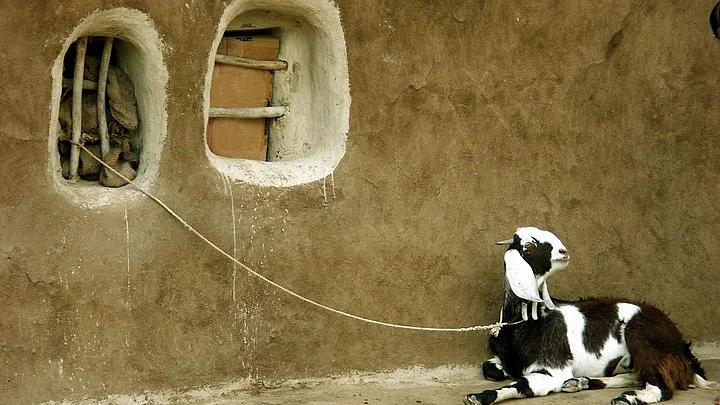 Two persons beaten to death by mob after being caught stealing goat in Jharkhand 