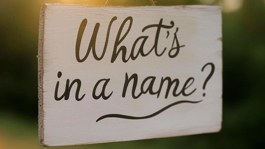 Nebraska man struggles to change daughter's name from 'Unakite Thirteen Hotel'