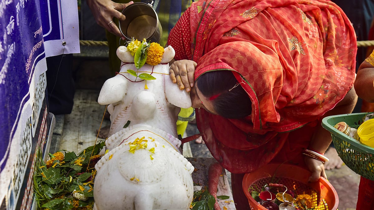 A devotee whispers in the ear of Nandi for fulfillment of her wishes after offering prayers at the Sukleswar temple on Maha Shivratri in Guwahati.