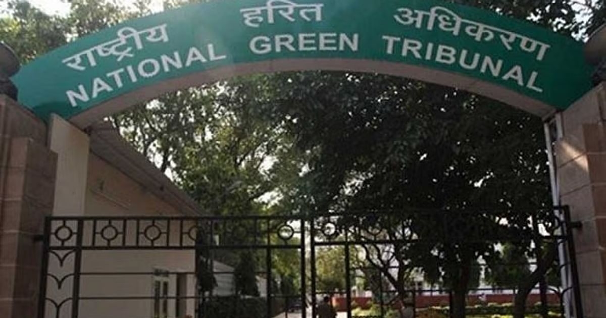 Delhi Water Crisis: NGT Slams DJB Over Sewage-Contaminated Supply