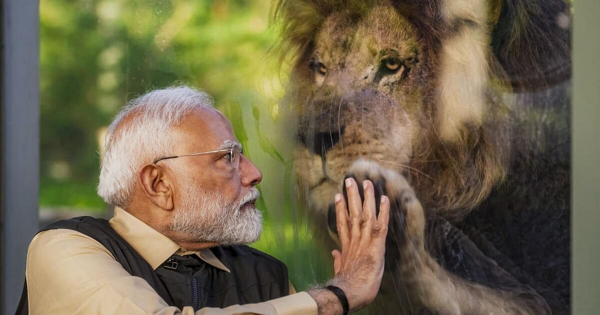 Posters in Varanasi Depict PM Modi as Lion, Pak PM Shahbaz Sharif as Jackal Amid Tensions