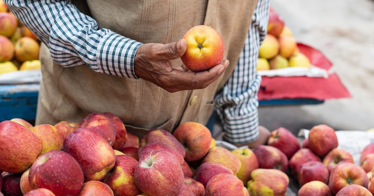 India-Turkey Tensions: Fadnavis Lauds Pune Traders for Boycotting Turkish Apples