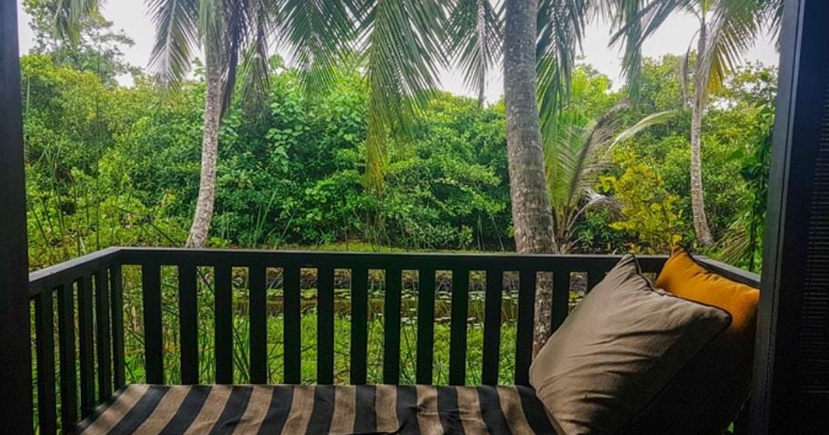 Wayanad Resort Crackdown: Govt Plans Action After Tourist Death in Illegal Hut Collapse