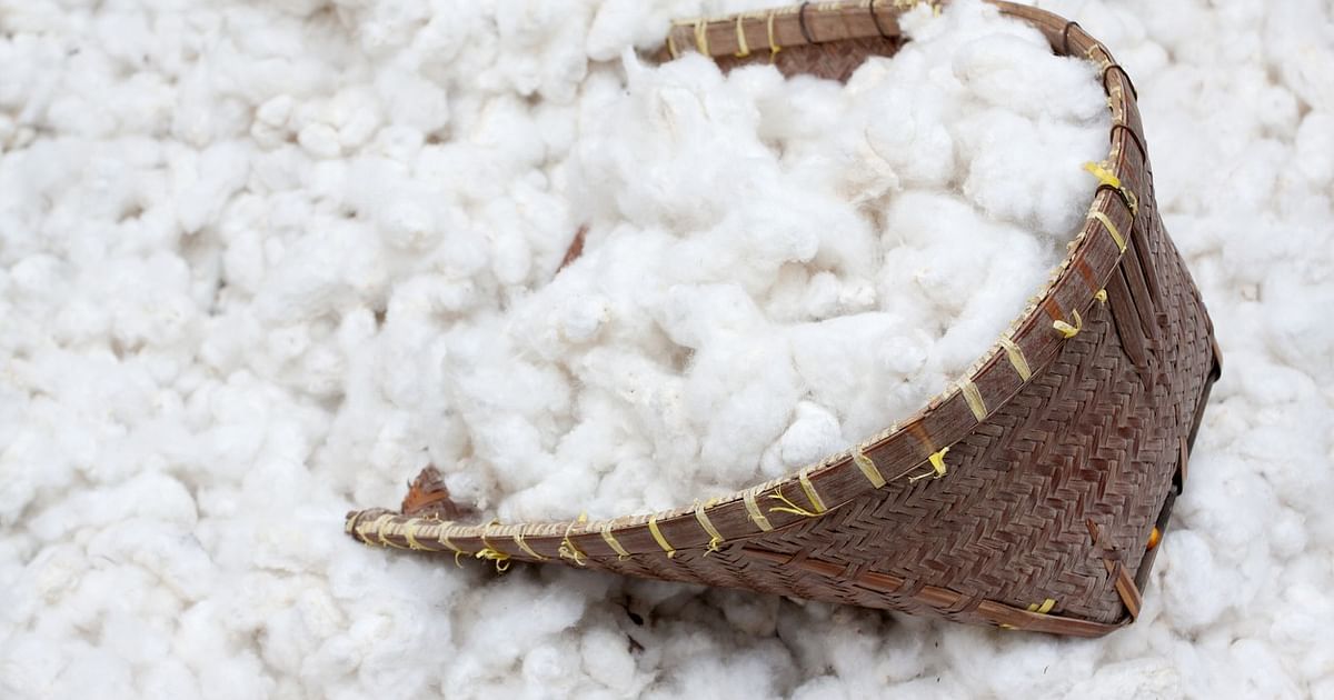 Cotton traders across India suspend trade with Turkey