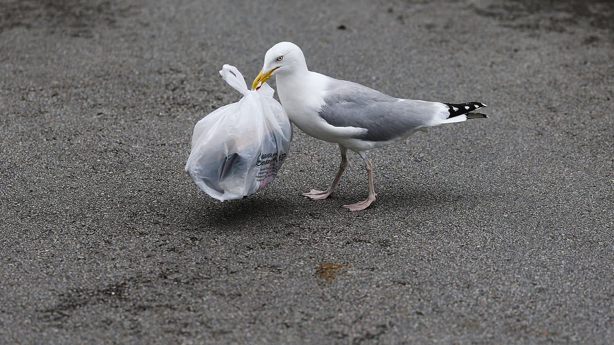 News in Pics | May 29, 2025: Best photos from around the world