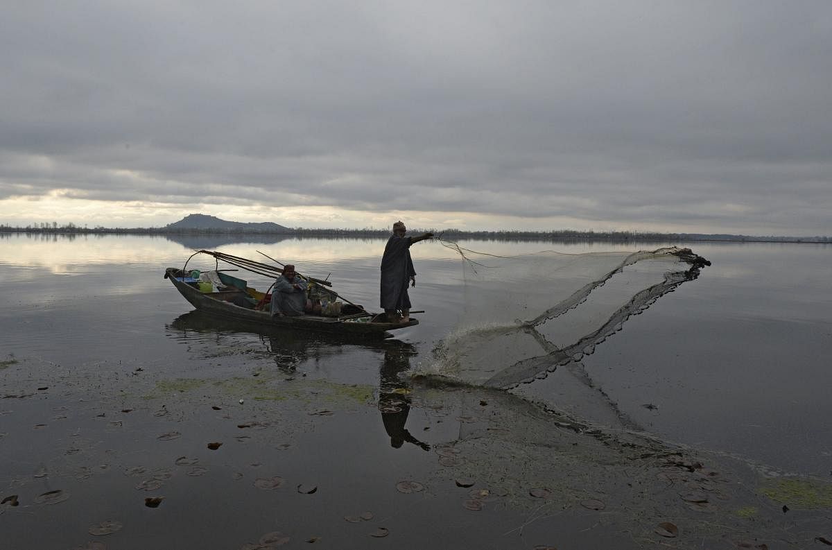 A fisherman casts his net from his boat in Dal lake during cold and rainy day in Srinagar. / AFP PHOTO / Tauseef MUSTAFA