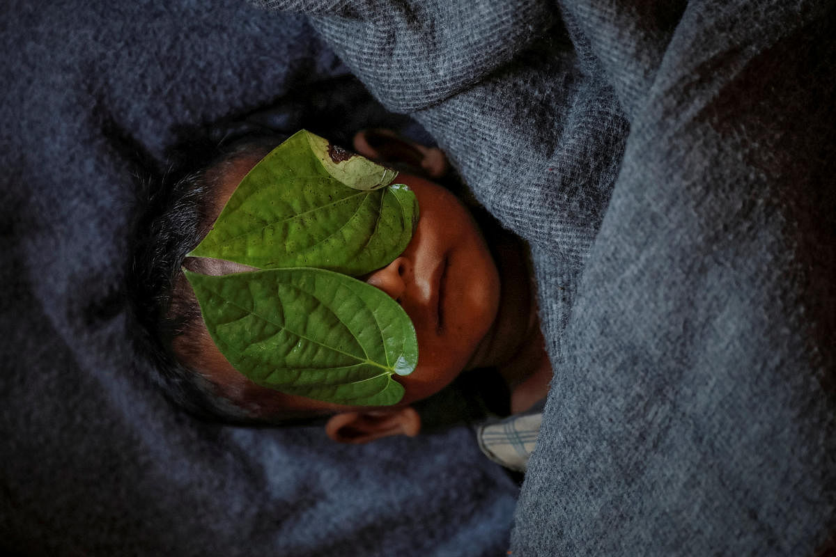 Betel leaves cover the face of 11-month-old Rohingya refugee Abdul Aziz whose wrapped body lay in his family shelter after he died battling high fever and sever cough at the Balukhali refugee camp near Cox's Bazar, Bangladesh, December 4, 2017. REUTERS/Damir Sagolj
