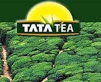 TATA Tea Chakra Gold celebrates state pride of Andhra Pradesh and Telangana  with refreshed packaging | APN News