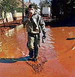 Hungary fears second  toxic wave
