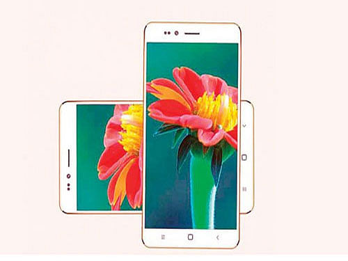 Freedom 251: World's cheapest smartphone costs £3 and starts shipping to  customers this week - Mirror Online