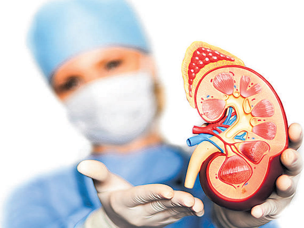 Don’t neglect your kidney health