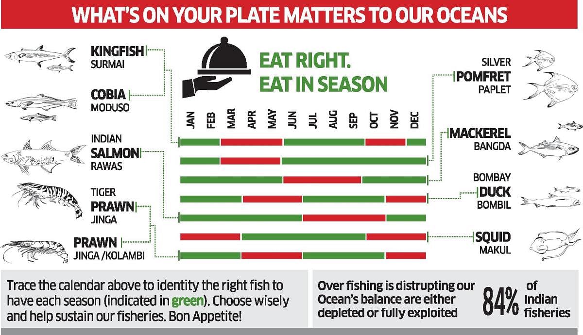 Spectrum: What’s on your plate matters to our oceans