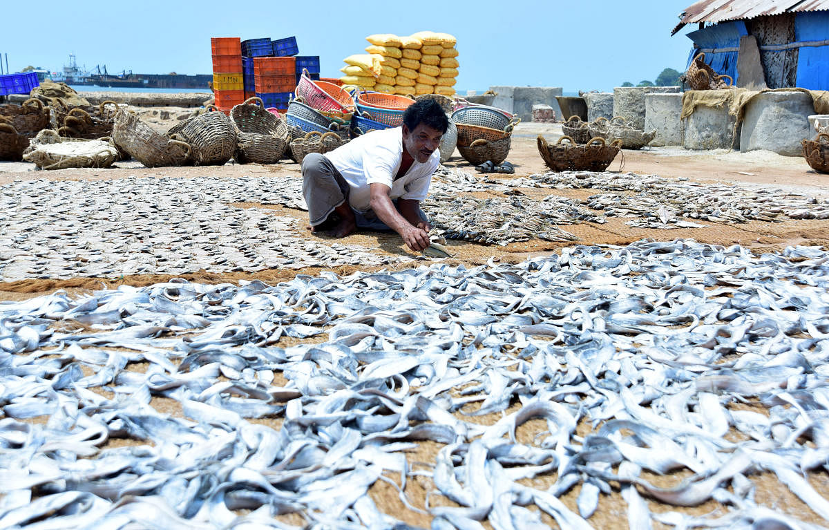 Meat scam leads to surge in Kolkata fish sales