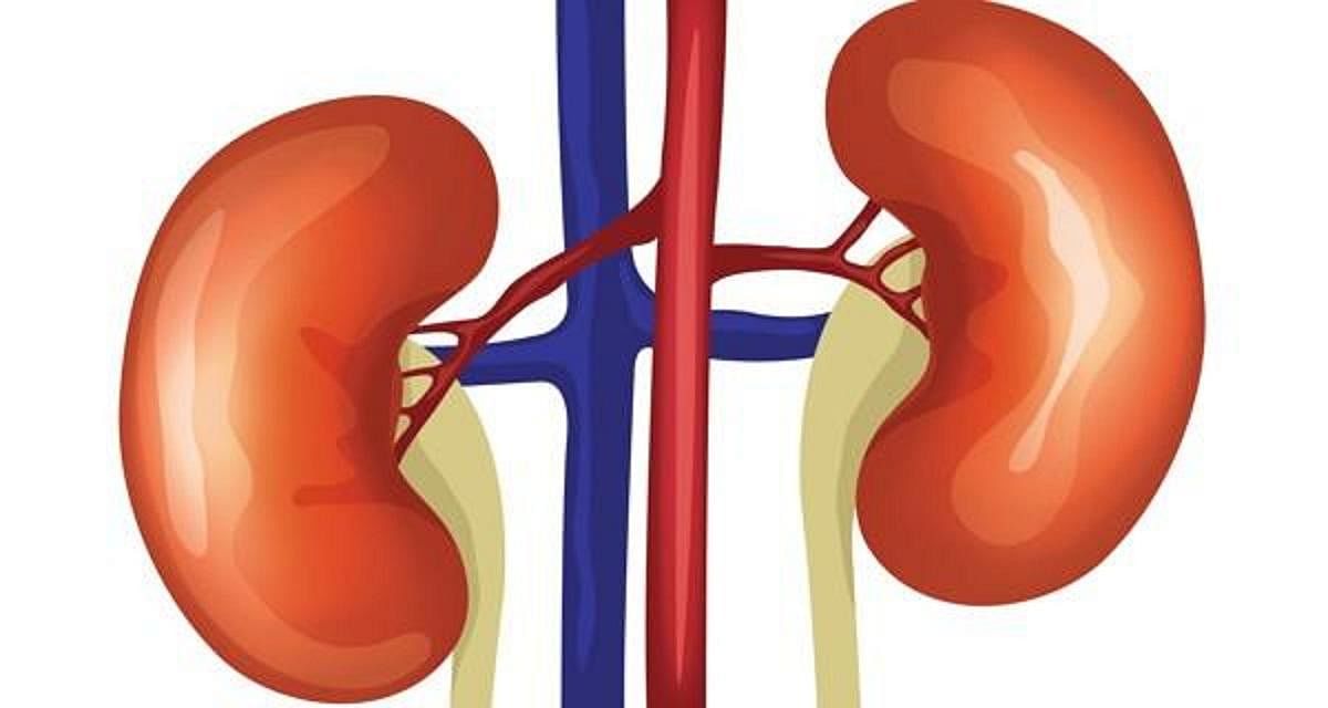 Peritoneal dialysis, best for ill kidneys