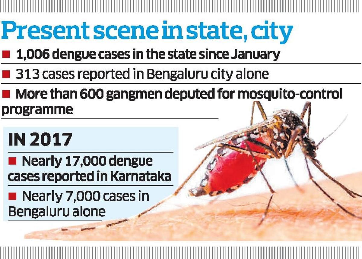 City reports 300 dengue cases till May