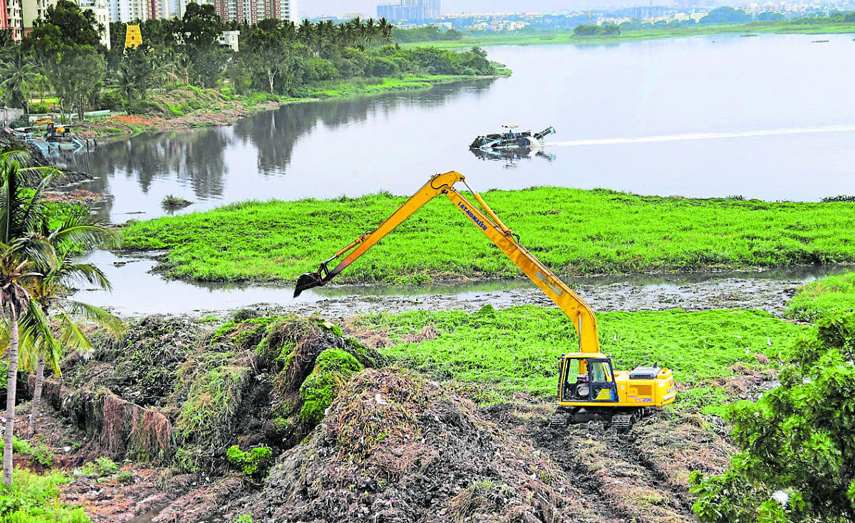 No greater farce than de-weeding Bellandur Lake: NGT 