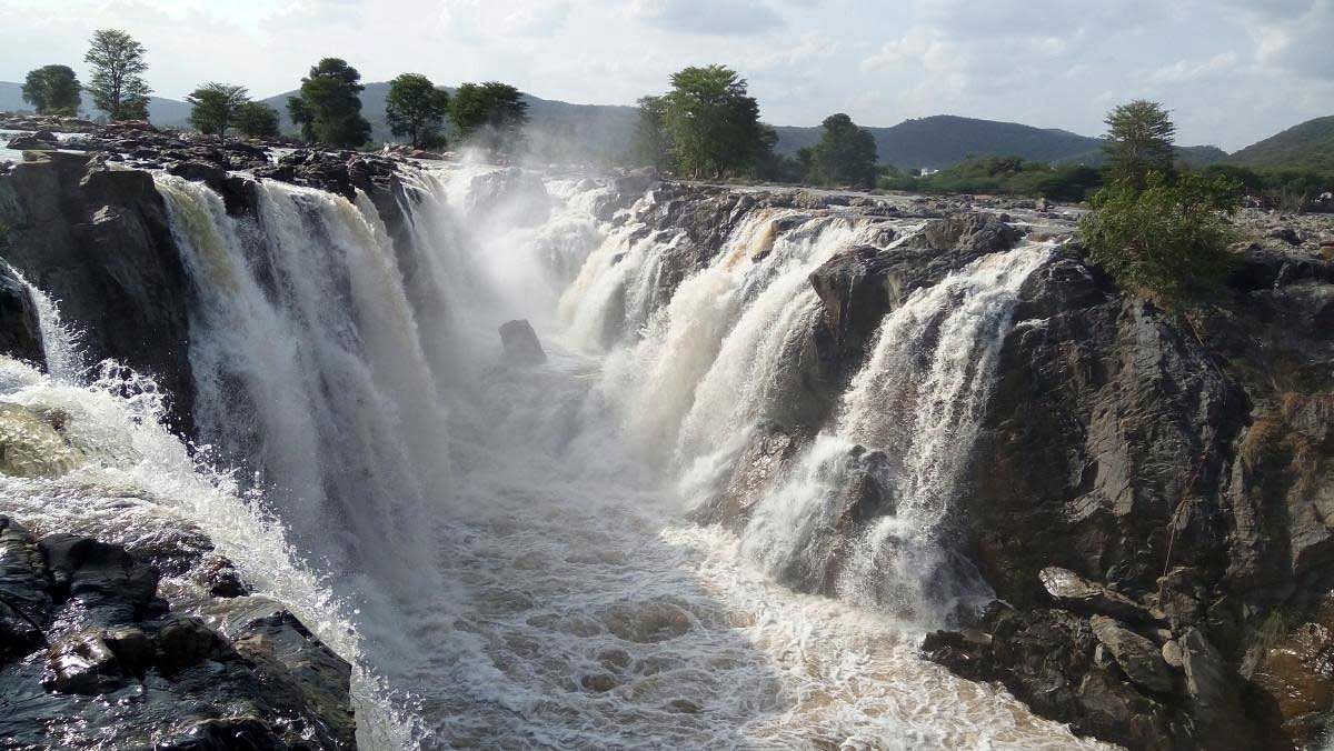 Cauvery waterfalls come to life