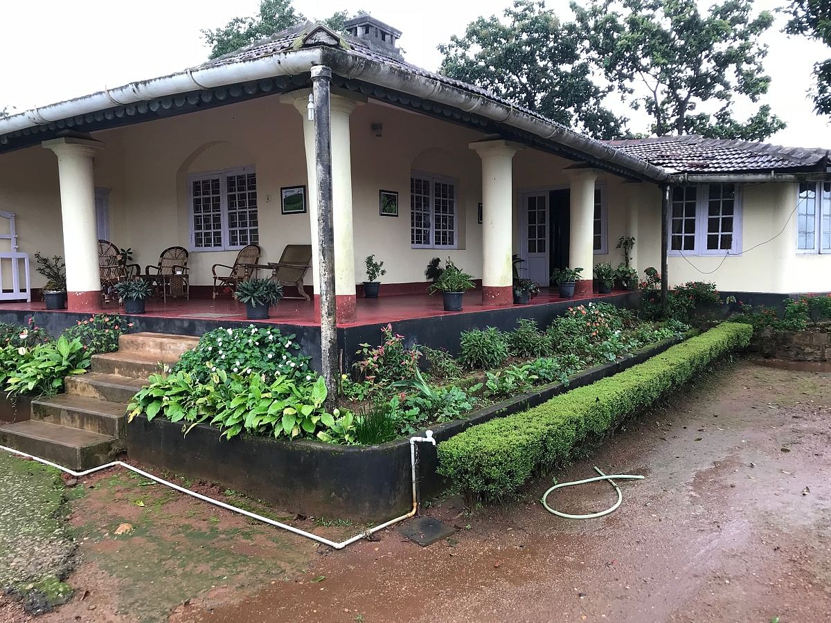 Cherambadi beckons with quiet tea gardens