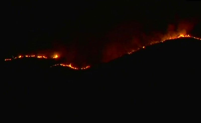 Forest department not prepared to handle Kurangani fire