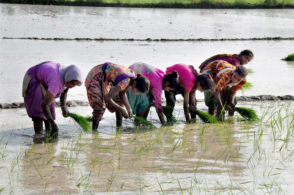 Palekar for zero-budget farming in individual villages